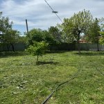 Satılır Torpaq İsmayıllı 4