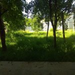 Kirayə (günlük) 2 otaqlı Həyət evi/villa İsmayıllı 1