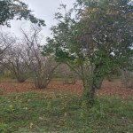 Satılır 4 otaqlı Bağ evi Xaçmaz 1