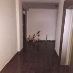 Kirayə (aylıq) 2 otaqlı Yeni Tikili, Xətai metrosu, Xətai rayonu 12