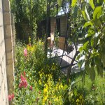 Kirayə (günlük) 3 otaqlı Bağ evi Qusar 8