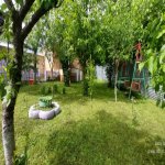 Kirayə (günlük) 2 otaqlı Həyət evi/villa Qəbələ 11