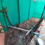 Satılır 4 otaqlı Həyət evi/villa, Azadlıq metrosu, Binəqədi qəs., Binəqədi rayonu 7