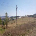 Satılır Obyekt Şamaxı 3
