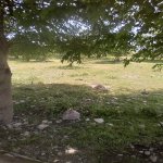 Satılır Torpaq İsmayıllı 3