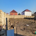 Satılır Torpaq, Fatmayi, Abşeron rayonu 1