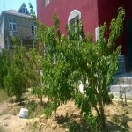 Satılır 5 otaqlı Bağ evi, Novxanı, Abşeron rayonu 3