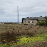 Продажа Участок Астара 4