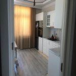 Kirayə (aylıq) 2 otaqlı Yeni Tikili, Memar Əcəmi metrosu, Nəsimi rayonu 5