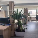 Kirayə (aylıq) 3 otaqlı Ofis, Nəriman Nərimanov metrosu, Nərimanov rayonu 16