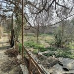 Satılır 3 otaqlı Bağ evi, Goradil, Abşeron rayonu 5