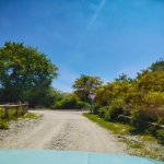 Satılır Torpaq Qəbələ 15