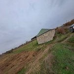 Satılır Torpaq Sabirabad 12