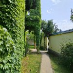 Kirayə (günlük) 6 otaqlı Həyət evi/villa İsmayıllı 23