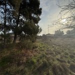 Satılır Torpaq, Xəzər rayonu 6