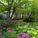 Kirayə (günlük) 2 otaqlı Həyət evi/villa Qax 12