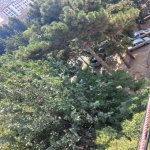 Satılır 2 otaqlı Köhnə Tikili, Nəsimi metrosu, 4-cü mikrorayon, Nəsimi rayonu 13