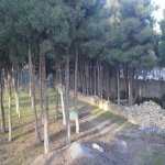 Satılır Torpaq, Avtovağzal metrosu, Biləcəri qəs., Binəqədi rayonu 18