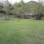 Satılır Torpaq Zaqatala 5