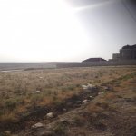 Satılır Torpaq, Fatmayi, Nazlı şadlıq sarayı, Abşeron rayonu 5