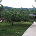 Kirayə (günlük) 3 otaqlı Həyət evi/villa İsmayıllı 12