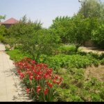Kirayə (aylıq) 5 otaqlı Bağ evi, Goradil, Abşeron rayonu 3