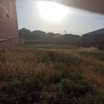 Satılır Torpaq, Hökməli, Abşeron rayonu 2