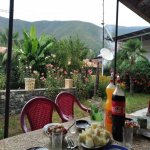 Kirayə (günlük) 3 otaqlı Həyət evi/villa Şəki 2