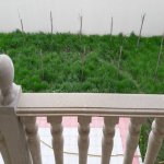 Satılır 6 otaqlı Həyət evi/villa, Masazır, Abşeron rayonu 4
