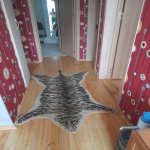 Satılır 3 otaqlı Həyət evi/villa, Binə qəs., Xəzər rayonu 7