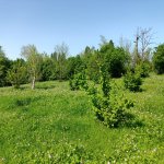 Продажа Участок Гябяля 5