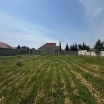 Satılır Torpaq, Xəzər rayonu 2