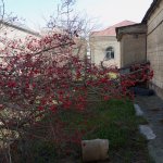 Satılır Torpaq, Qaraçuxur qəs., Suraxanı rayonu 4