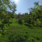 Satılır Torpaq Qəbələ 6