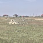 Satılır Torpaq Xırdalan 2