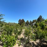 Продажа 8 комнатная Дача, м. Короглу метро, Сабунчу район 2