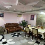 Kirayə (aylıq) 12 otaqlı Həyət evi/villa, 28 May metrosu, Nəsimi rayonu 8