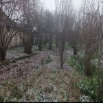 Продажа 6 комнатная Дома/Виллы Хачмаз 8