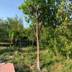 Satılır 3 otaqlı Həyət evi/villa Xırdalan 4