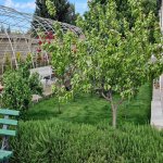 Kirayə (aylıq) 4 otaqlı Bağ evi, Suraxanı rayonu 6