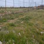 Satılır Torpaq, Maştağa qəs., Sabunçu rayonu 3