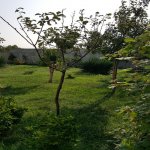 Kirayə (aylıq) 5 otaqlı Bağ evi, Türkan, Xəzər rayonu 5