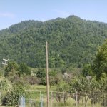 Satılır Torpaq Quba 16