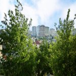 Продажа Участок, пос. Бадамдар, Сябаиль район 12