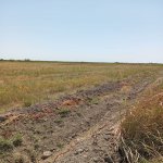Продажа Участок Кюрдямир 2
