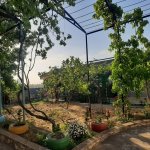 Kirayə (günlük) 4 otaqlı Bağ evi, Novxanı, Abşeron rayonu 2