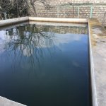 Kirayə (günlük) 1 otaqlı Bağ evi, Mərdəkan, Xəzər rayonu 8