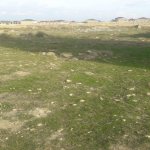 Satılır Torpaq, Masazır, Abşeron rayonu 8
