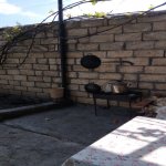 Kirayə (günlük) 5 otaqlı Həyət evi/villa Qax 20
