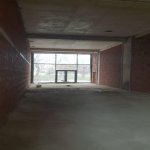 Kirayə (aylıq) Obyekt, Gənclik metrosu, Nəsimi rayonu 5